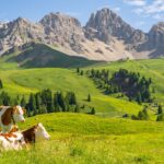 Erholung in den Alpen zum Stressabbau