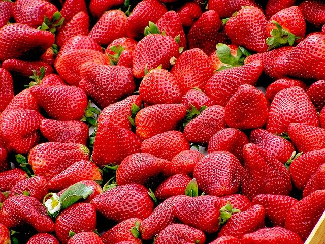 Saison Erdbeere